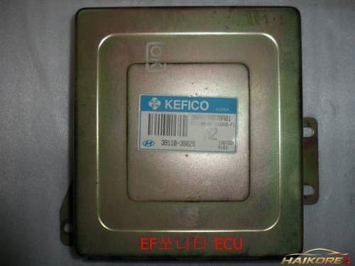 ЭБУ (ECU) Hyundai Sonata EF (3911038029)