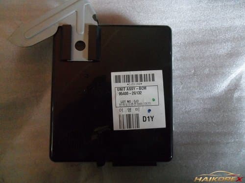 Модуль кузова BCM Roche 954002G132