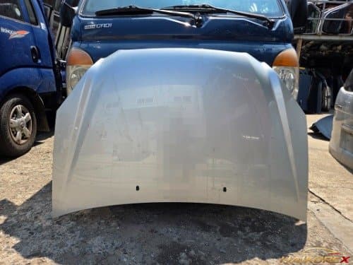 Капот (бонет, худ) Hyundai New Karence