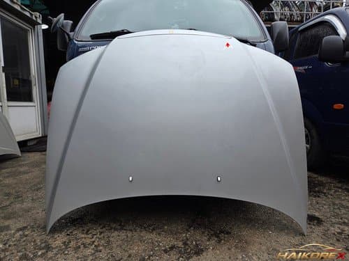 Капот Hyundai Grandeur TG класс C (вмятины, деформация, изломы)