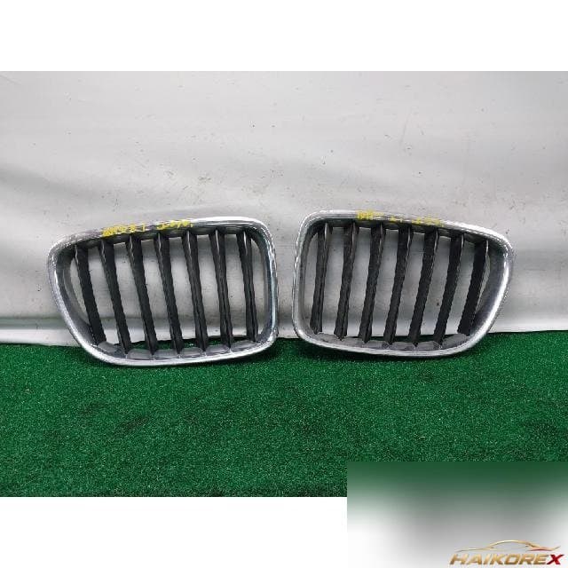 BMW X1 2010 — радиаторная решетка