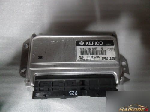 Блок управления двигателем ECU 39110-02002