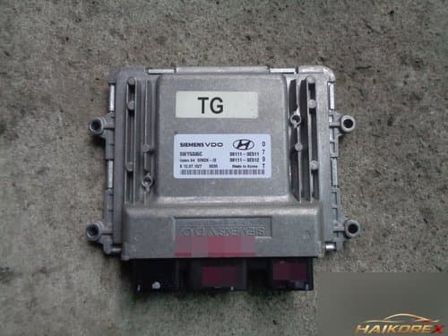 Блок управления двигателя Grandeur TG 391113E512