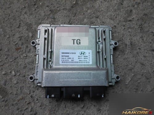 Блок управления двигателем Grandeur TG 391113E510
