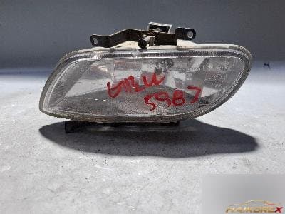 Hyundai Verna 2001 — противотуманная фара