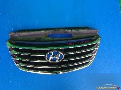 Hyundai Grandeur 2009 — решетка радиатора