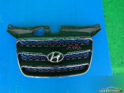 Hyundai Santa Fe 2009 — решетка радиатора