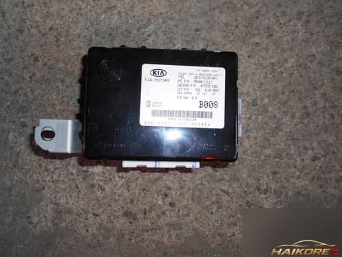 Блок управления BCM 954001Y113