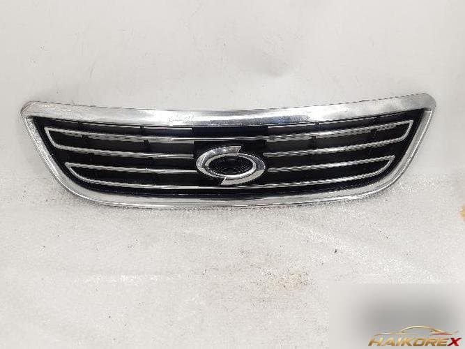 Renault SM5 2013 — решётка радиатора
