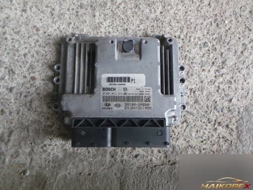 ECU 391002A600