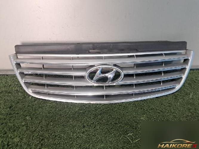 Hyundai Grandeur 2008 — решетка радиатора