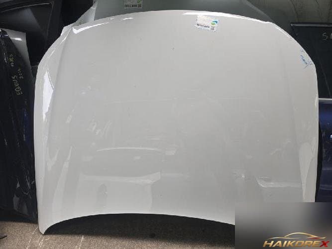 Volkswagen Passat 2009 — капот