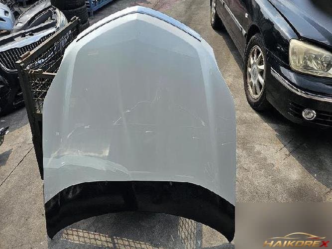 Cadillac SRX 2010 — капот
