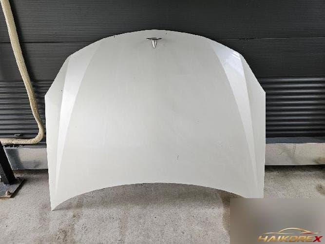 Renault SM7 2009 — капот
