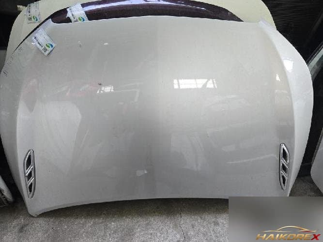 Chevrolet Alpeon 2011 — капот