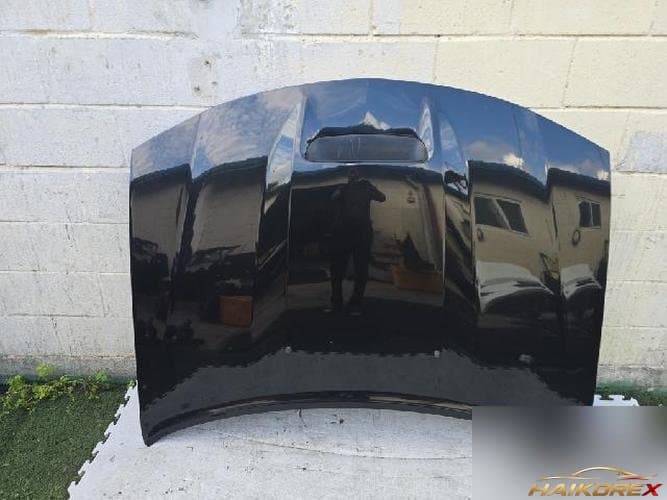 Dodge Charger 2006 — капот