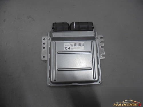 ЭБУ двигателя SM7 2311023845