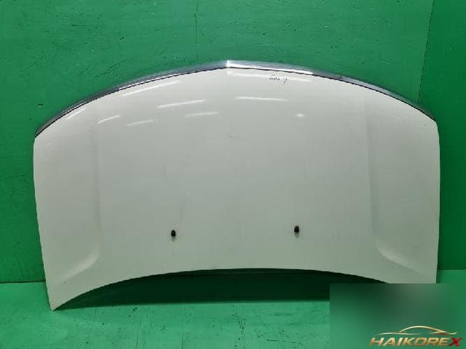 Ford MKX 2007 — капот