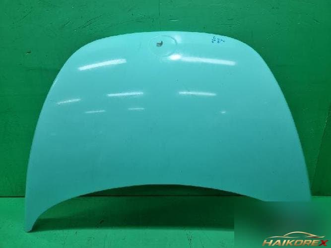 Volkswagen Beetle 2002 — капот