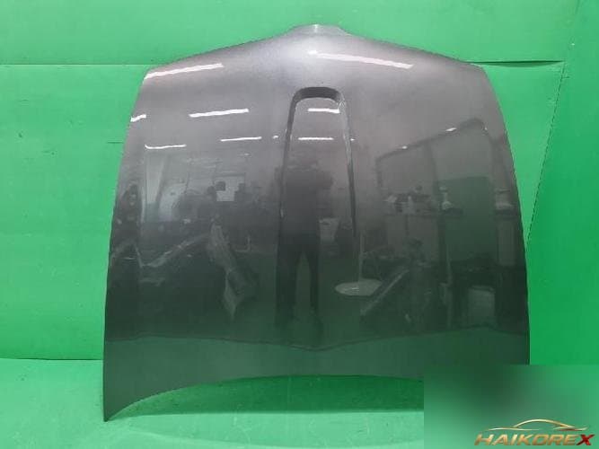 Ford MKS 2011 — капот 2