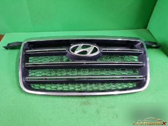Hyundai Grand Starex 2007 — решётка радиатора 86565-4A600