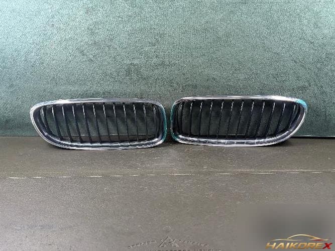 BMW 3 Series 2010 — решетка радиатора 2