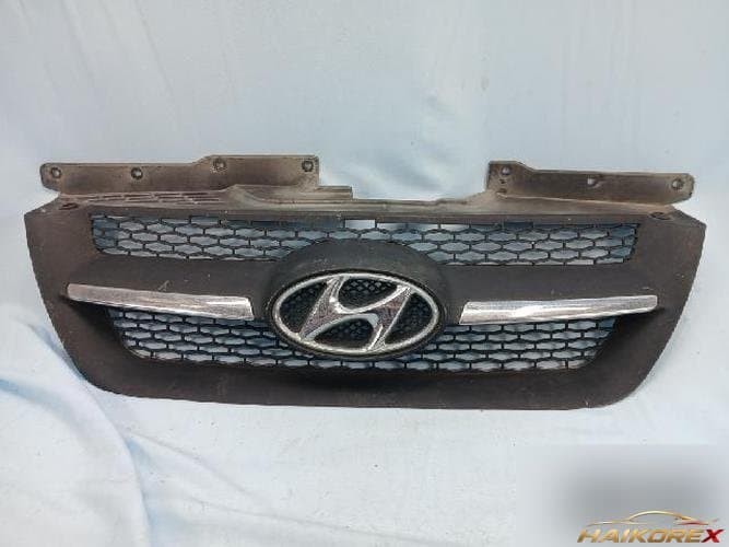 Hyundai Sonata 2006 — решётка радиатора 1
