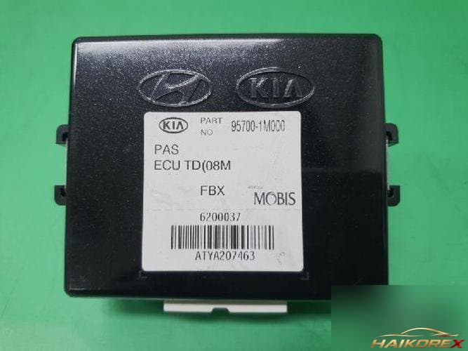 Kia Forte 2010 — блок управления двигателем ECU 95700-1M000