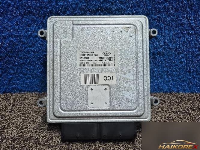 Kia K5 2013 — ЭБУ двигателя 391202ETB0