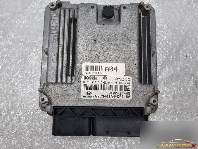 Hyundai Santa Fe 2010 — блок управления двигателем ECU 39115-2F405
