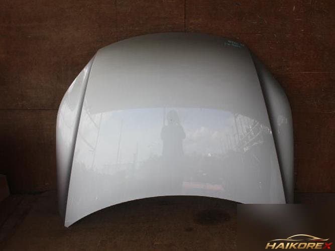 Volkswagen Tiguan 2010 — капот