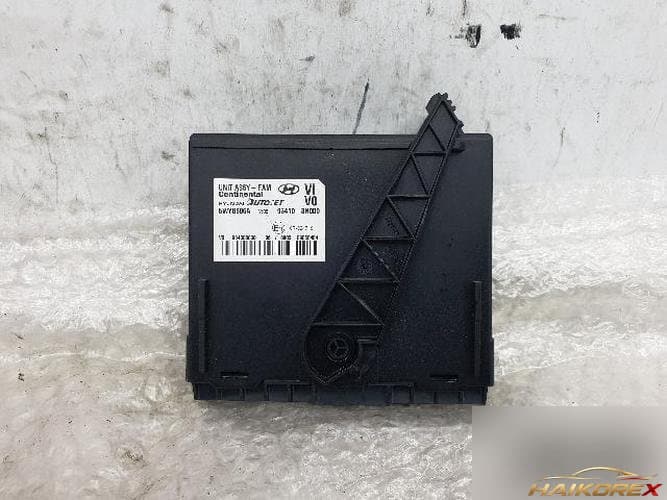 Hyundai Equus 2010 — модуль FAM передний 95410-3N000