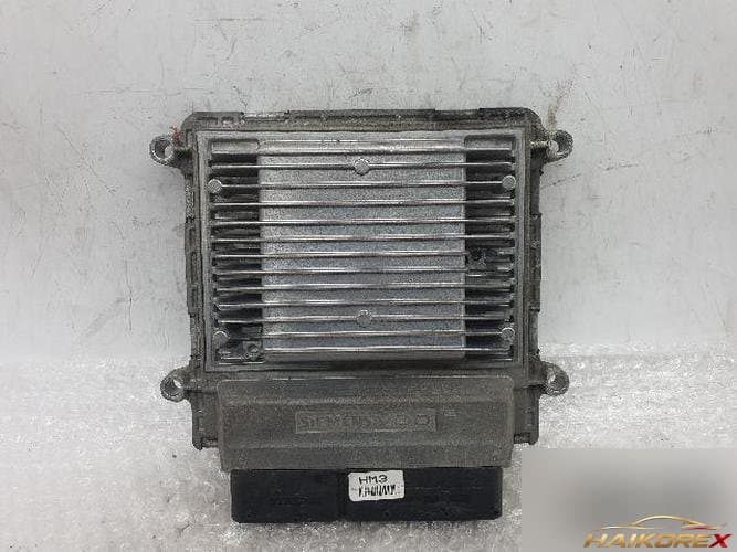 Блок управления двигателем ECU 39106-25020